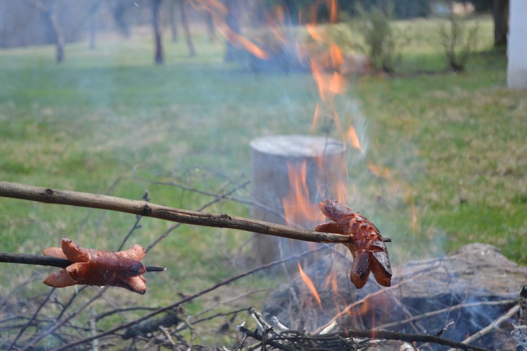 Chalupa Pod Klepacem Králíky Εξωτερικό φωτογραφία